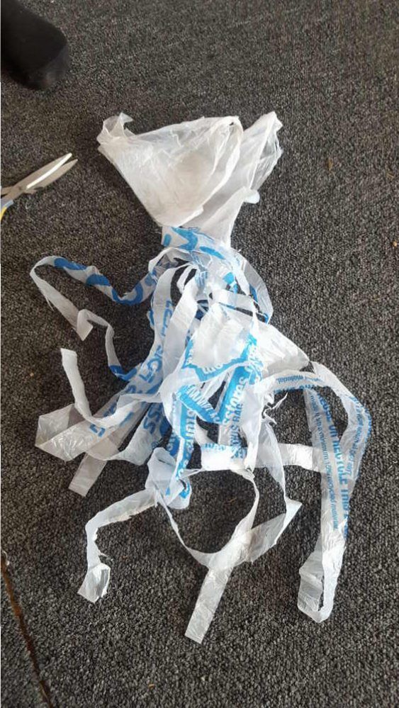 Plastic Bag Octopus