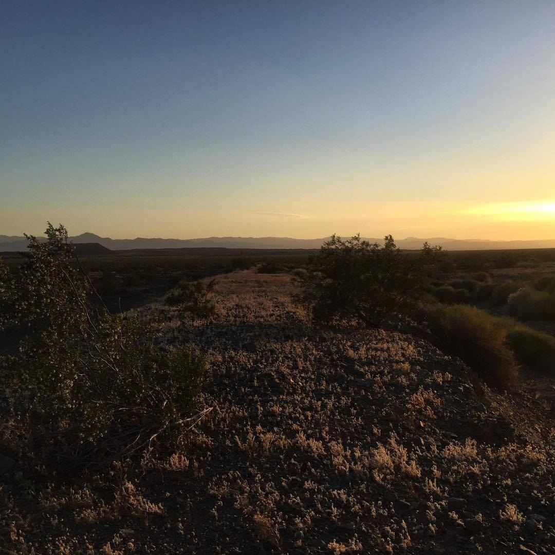 Evening walks in the Mojave Desert #drylab2023 #desertwalks #desertsunset